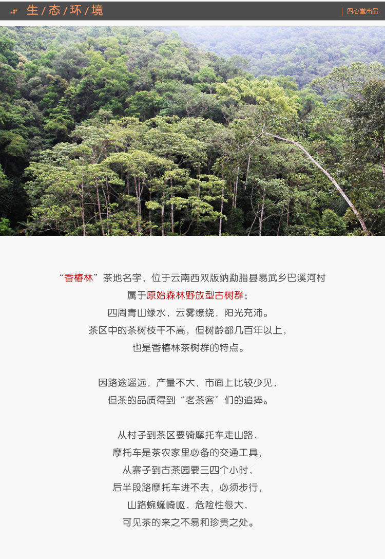 四心堂香椿林