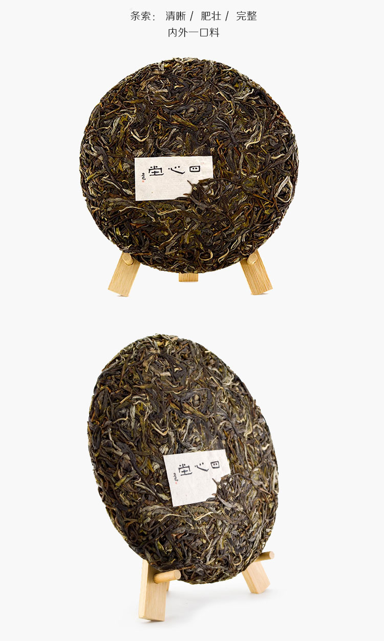 四心堂 茶王树